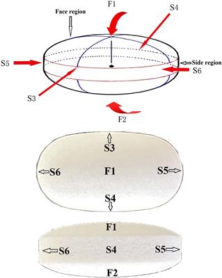 Characterization of enteric-coated erythromycin tablets by Raman mapping and its pharmaceutical evaluation